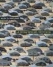 coverllll